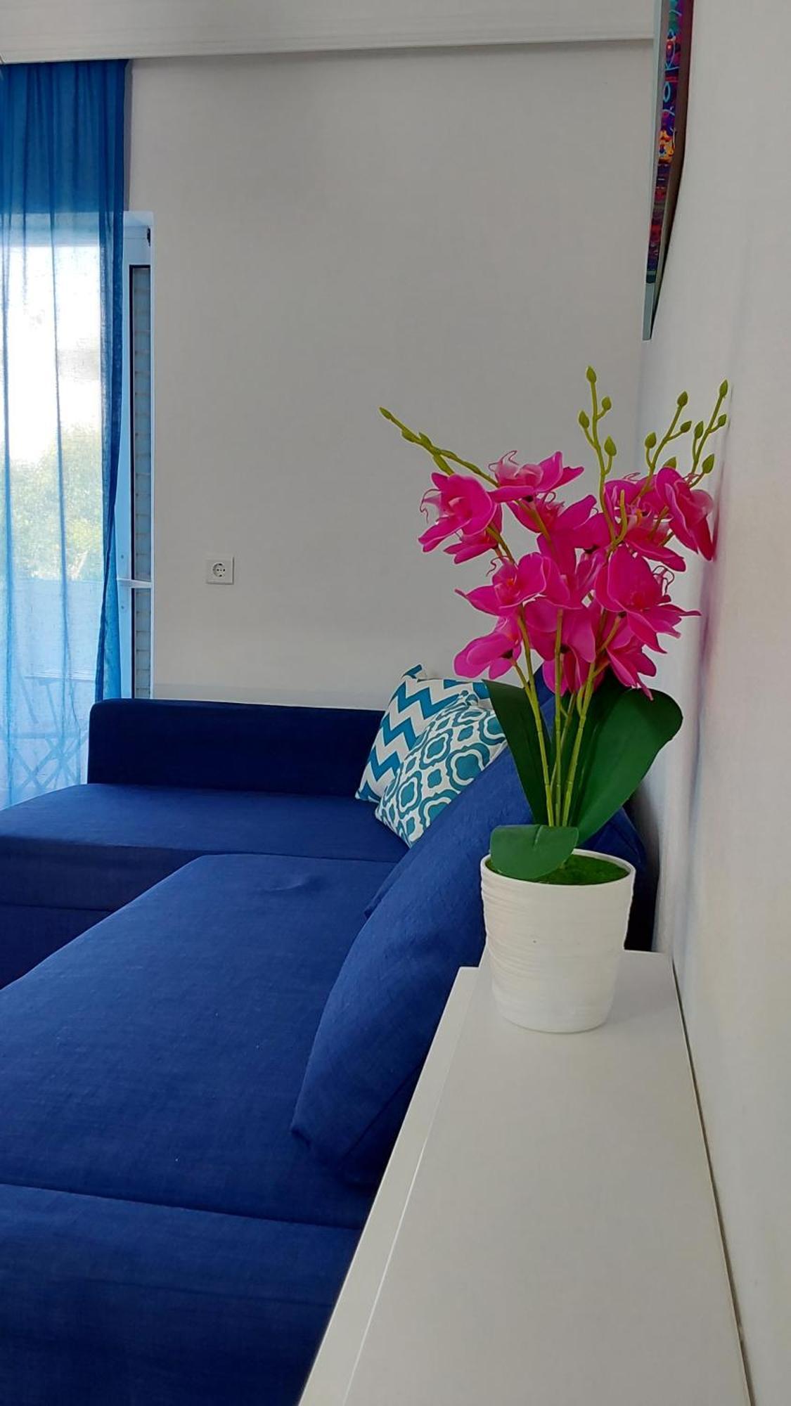 Kosinmyheart Apartment 11 & Studio10 Ngoại thất bức ảnh
